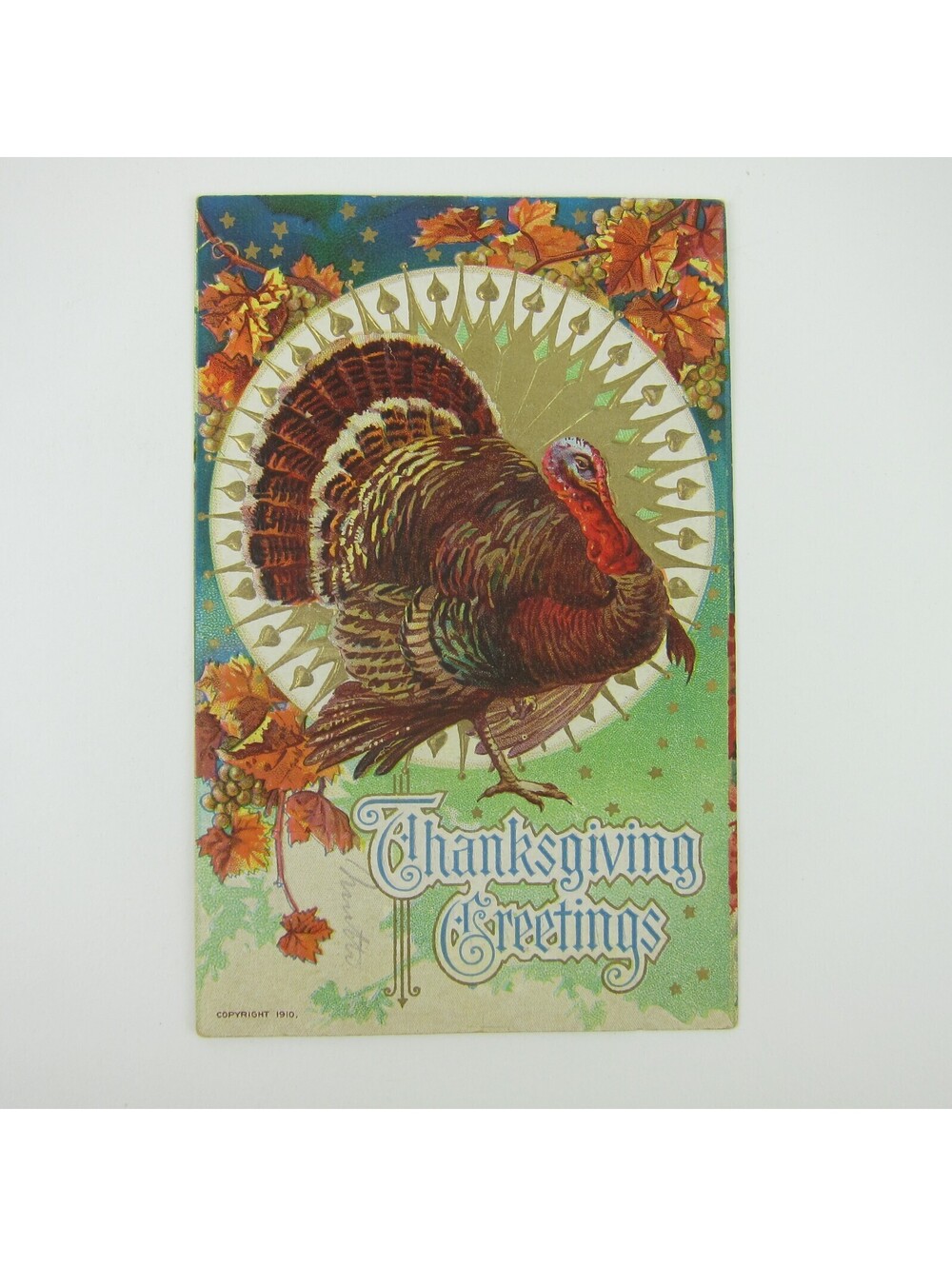 Thanksgiving Postcard Wild Turkey Autumn Fall Leaves Gold Embossed Antique 1910